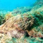 PADI Open Water Diving Course - Who Should Consider This Experience?