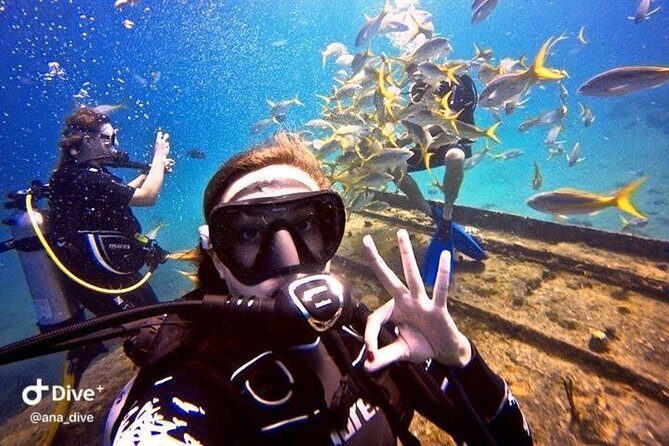 PADI / SSI Open Water Certification - The Sum Up