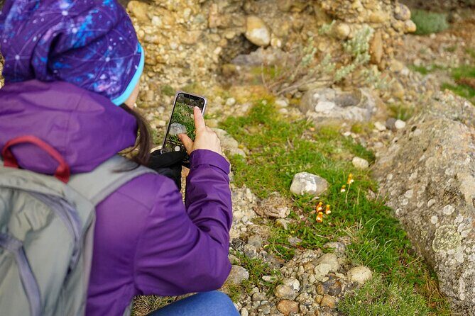 Paintings Rupestres in Cerro Benitez - The Sum Up: Is It Worth It?