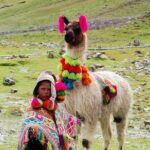Palccoyo Rainbow Mountain from Cusco with transfers and lunch - What to Expect at Each Stop