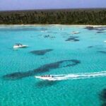 Palladium Punta Cana - Round Trip Shuttle - Punta Cana Airport - Detailed Review of the Palladium Punta Cana Round Trip Shuttle