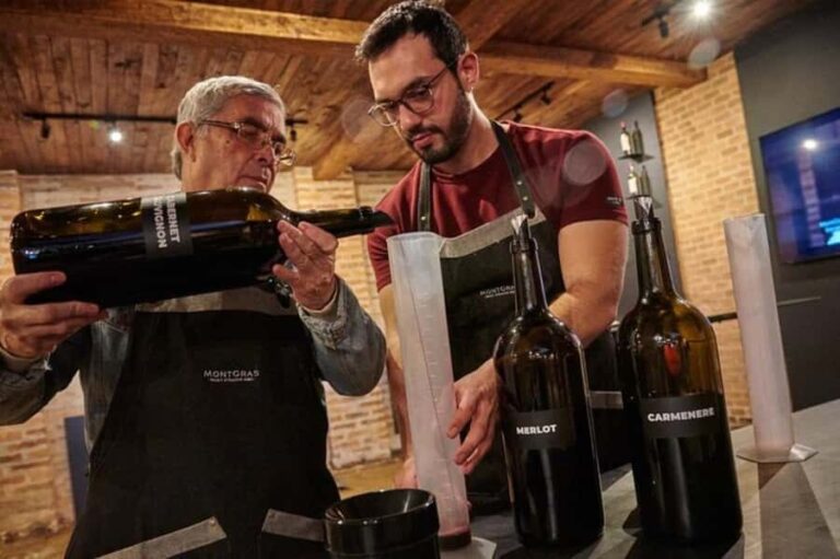 Palmilla: Make Your Own Wine Tour - Who Should Consider This Tour?