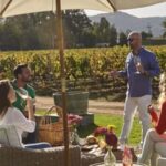 Palmilla: Picnics Tour - Who Would Enjoy This Tour?