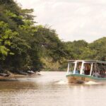 Palo Verde Boat Safari + Coffee & Culture  Wildlife & Flavor - Final Thoughts