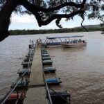 Palo Verde National Park - Exploring the Tour in Detail