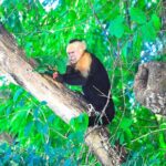 Palo Verde National Park by Costa Rica Xplores - FAQ