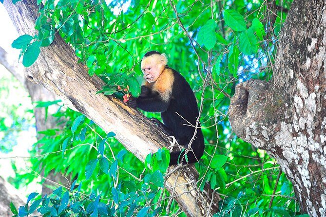 Palo Verde National Park by Costa Rica Xplores - FAQ