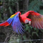 Palo Verde River Boat Trip - Final Thoughts: Who Will Love This Experience?