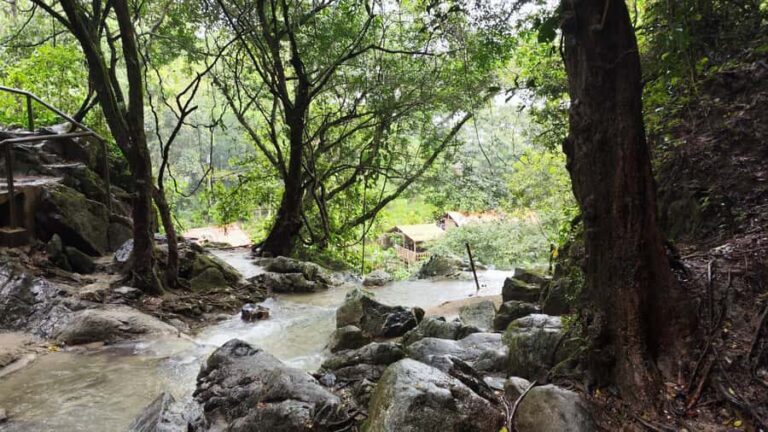 Palomino: Hiking Tour of Valencia Waterfalls with Transfers - Exploring the Experience: A Deep Dive into the Valencia Waterfalls Tour