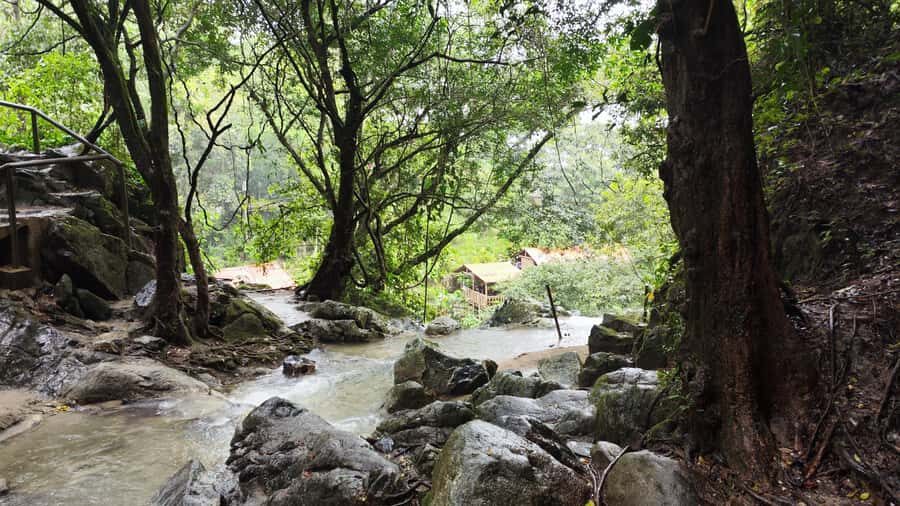 Palomino: Hiking Tour of Valencia Waterfalls with Transfers - Exploring the Experience: A Deep Dive into the Valencia Waterfalls Tour