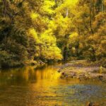 Palomino Natural Pool Hiking Activity - Who Should Consider This Tour?