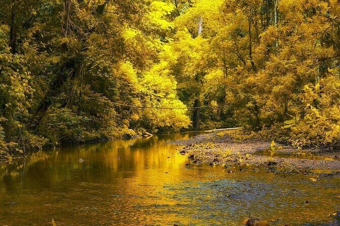 Palomino Natural Pool Hiking Activity - Who Should Consider This Tour?