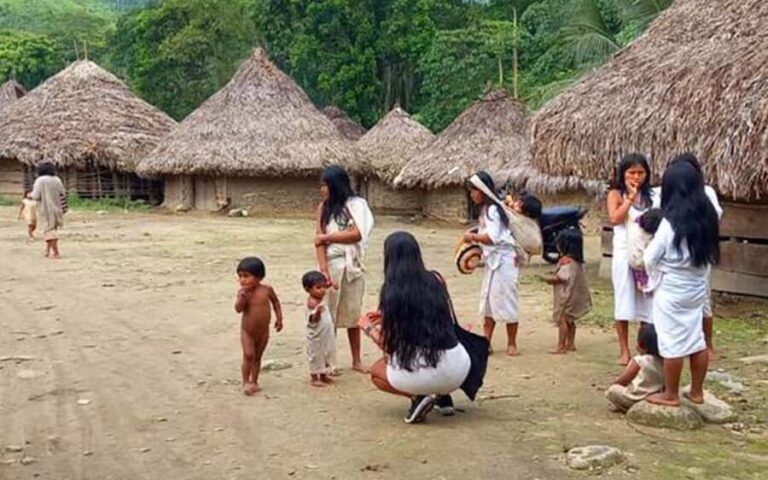 Palomino: Private Tour to Tungueka Indigenous Village - Why This Tour Matters
