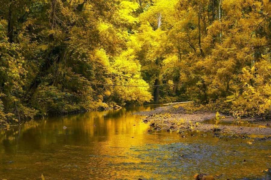 Palomino Quad Bike Tour - FAQs About the Palomino Quad Bike Tour