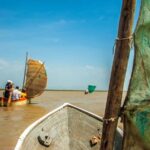 Palomino: Sanctuary of Flamingos Day Tour - Who Is This Tour Best For?