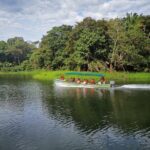 Panama Canal Monkey & Wildlife Boat Safari - A Closer Look at the Panama Canal Monkey & Wildlife Boat Safari
