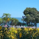 Panama City Like a Local: Customized Private Tour - Frequently Asked Questions