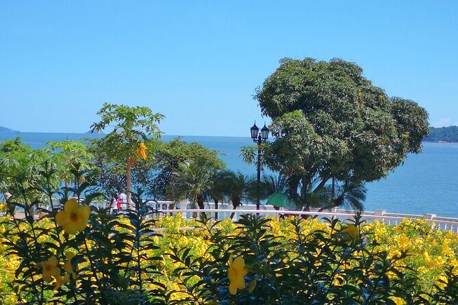 Panama City Like a Local: Customized Private Tour - Frequently Asked Questions