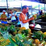 Panama City Tour Highlights - Transport and Guide Quality