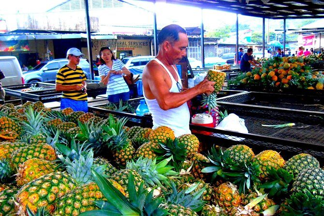 Panama City Tour Highlights - Transport and Guide Quality