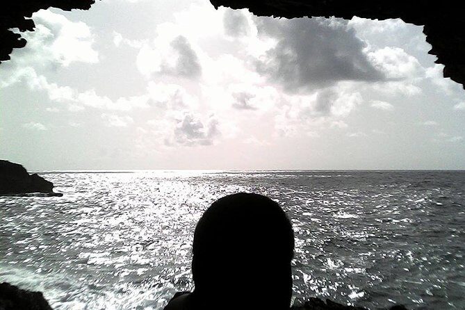 Panoramic Coastal Barbados Tour - The Sum Up: Is This Tour Right for You?