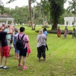 Panoramic Ocho Rios Heritage, Zipline and River Swim - What Past Travelers Say