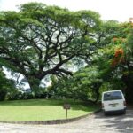 Panoramic Plus - Why This Tour Offers Good Value