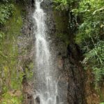 Panoramic Tour - Final Thoughts