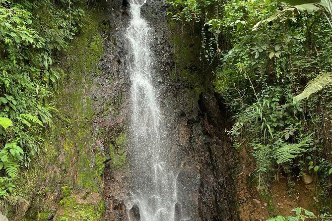 Panoramic Tour - Final Thoughts