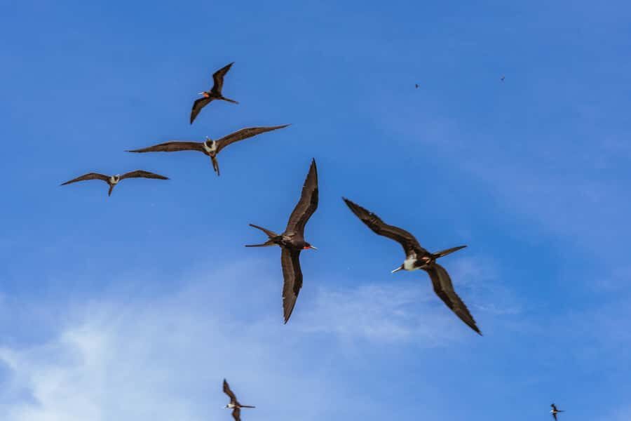 PAO PAO BEACH CLUB - Is It Worth It?