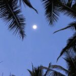 Paquera Sunset and Full Moon Kayak Tour - The Experience in Detail