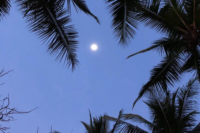 Paquera Sunset and Full Moon Kayak Tour - The Experience in Detail