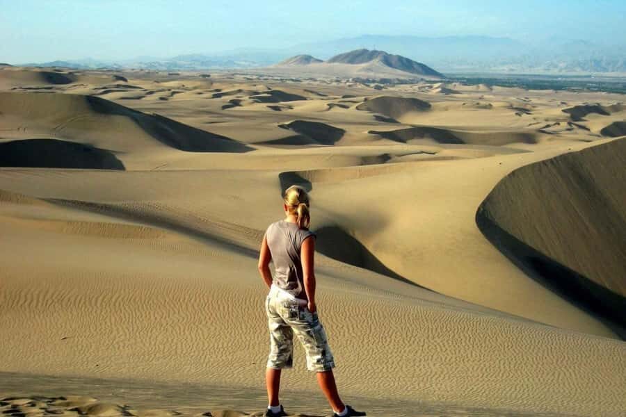 Paracas Adventure Tour - An In-Depth Look at the Paracas Adventure Tour