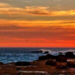 Paracas: Amazing Sunset in the Paracas National Reserve - Who Is This Tour Best For?
