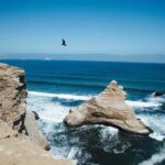 Paracas: Ballestas Islands and Paracas National Reserve Tour - Practical Tips for the Tour