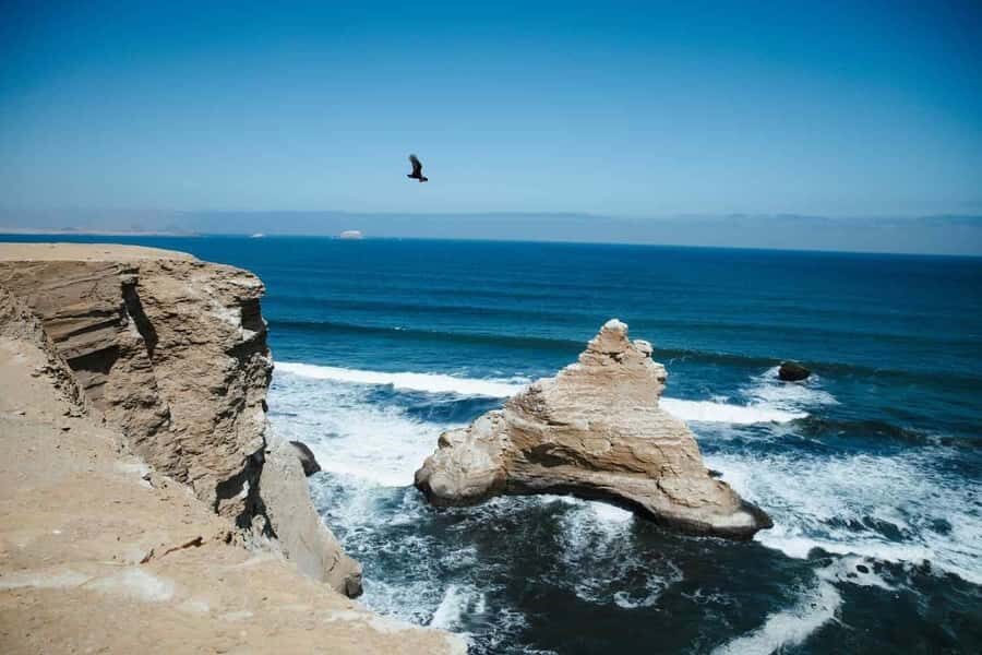 Paracas: Ballestas Islands and Paracas National Reserve Tour - Practical Tips for the Tour