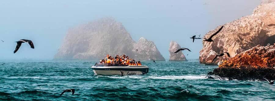 Paracas: Ballestas Islands and Paracas Reserve Tour - Understanding the Value