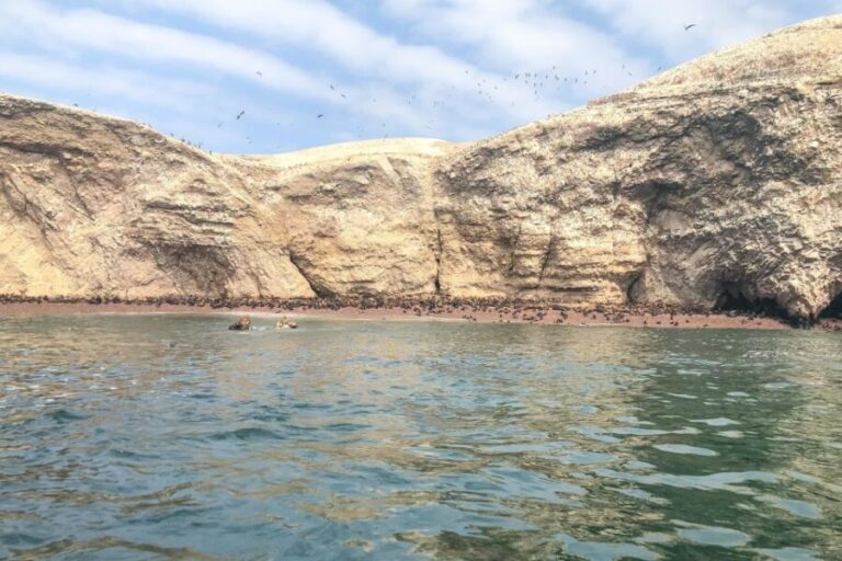 Paracas: Ballestas Islands Morning Boat Tour - Who Should Consider This Tour?