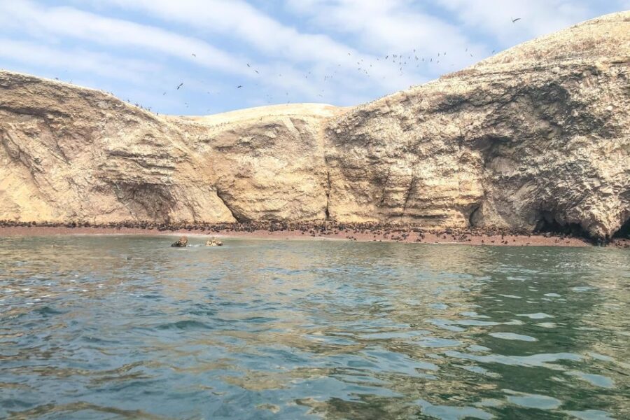 Paracas: Ballestas Islands Morning Boat Tour - Who Should Consider This Tour?