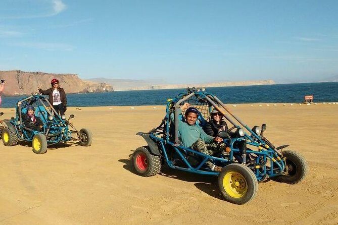 Paracas Full Day: Islas Ballestas, National Park and Sandboarding in Paracas - The Sum Up
