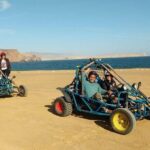 Paracas Fullday - Islas Ballestas y Nationalpark in Minibuggy - Exploring Paracas: What to Expect from the Tour