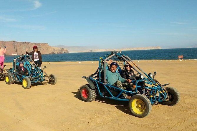 Paracas Fullday - Islas Ballestas y Nationalpark in Minibuggy - Exploring Paracas: What to Expect from the Tour