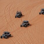 Paracas, Ica and Huacachina Day Trip From Lima | Mini-Galapagos - Practical Tips for Future Travelers