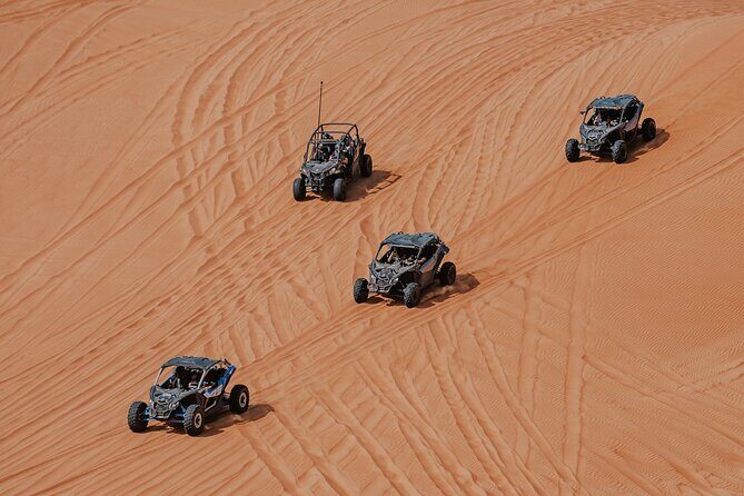 Paracas, Ica and Huacachina Day Trip From Lima | Mini-Galapagos - Practical Tips for Future Travelers