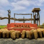 Paracas - Ica Full Day (Private tour) - Practical Details and Tips