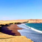 Paracas National Reserve by Tourist Bus - Transportation, Timing, and Practicalities