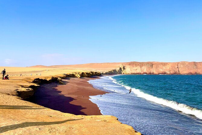 Paracas National Reserve by Tourist Bus - Transportation, Timing, and Practicalities