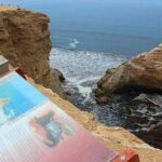 Paracas National Reserve Half Day Tour - Who Will Love This Tour?