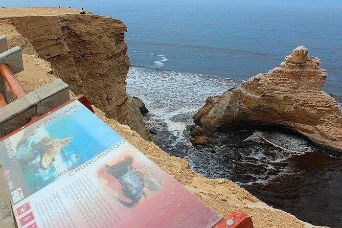 Paracas National Reserve Half Day Tour - Who Will Love This Tour?