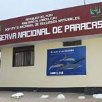 Paracas National Reserve Tour - An In-Depth Look at the Paracas National Reserve Tour